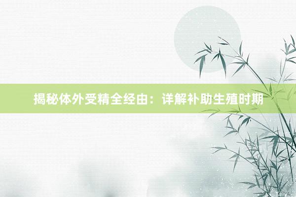 揭秘体外受精全经由：详解补助生殖时期