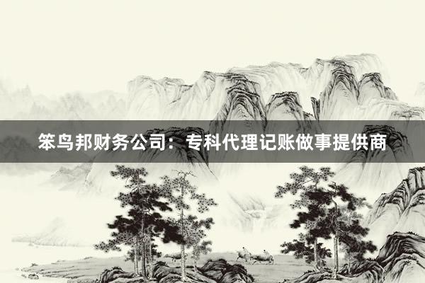 笨鸟邦财务公司：专科代理记账做事提供商